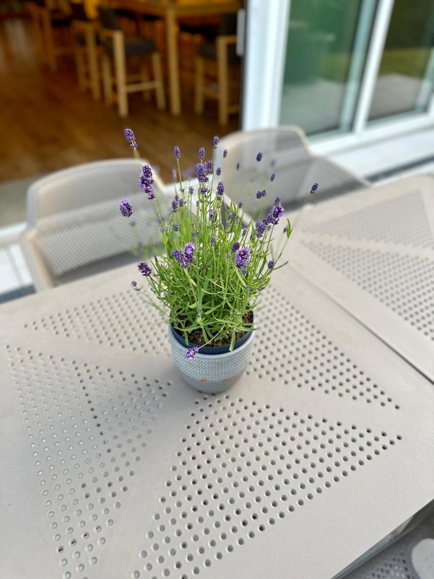 Gaestehaus Gn8 Rielasingen-Worblingen Extérieur photo